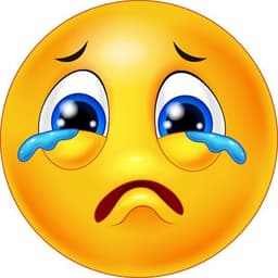 sadness or disappointment